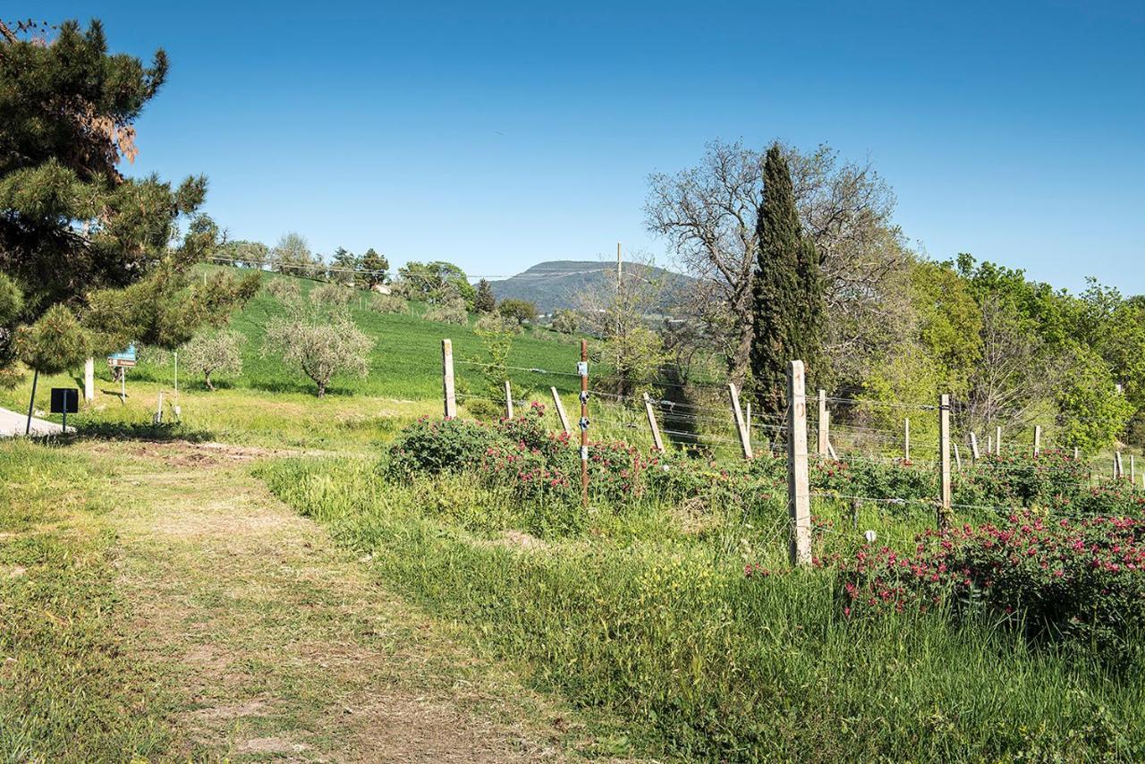 A11 - Varano, Delizioso Trilocale Con Giardino Ancona Exterior foto